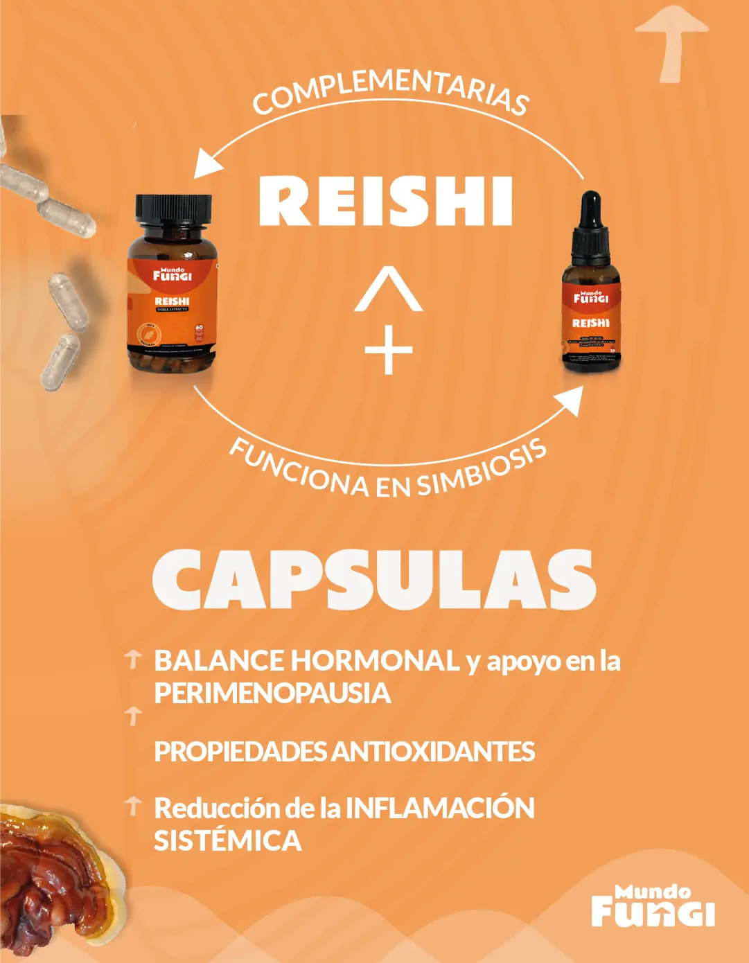 Reishi ultra concentrado en capsula